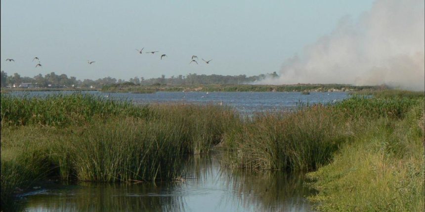 Disminuyó la cota de la laguna Las Aguadas