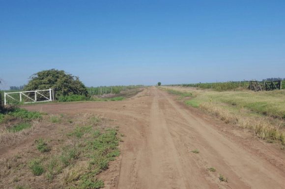 Ya se repararon numerosos caminos rurales