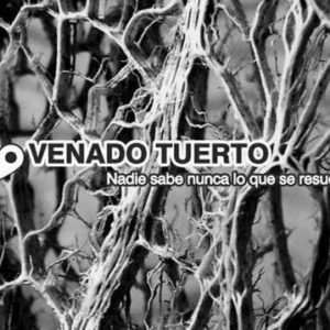 Presentación de la revista Alas de Gaviota Nº 8 Presentación de la revista Alas de Gaviota Nº 8