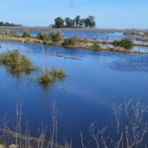 Impulsan comisión para avanzar en el Área Recreativa Norte Impulsan comisión para avanzar en el Área Recreativa Norte