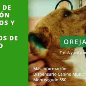 “Orejas verdes” en barrio Ciudad Nueva