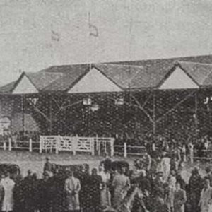 Concurso “Tribuna La Rural”