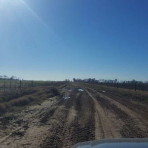 Reparación de caminos rurales y del periurbano