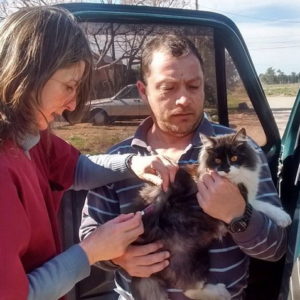 “Aún no se detectaron casos en Venado Tuerto”, afirmó Carusillo