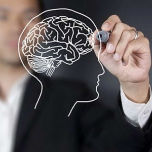 Conferencias sobre neurociencias Conferencias sobre neurociencias