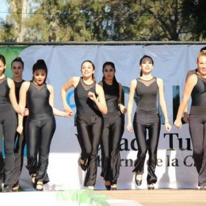 Espectáculos para todos los gustos