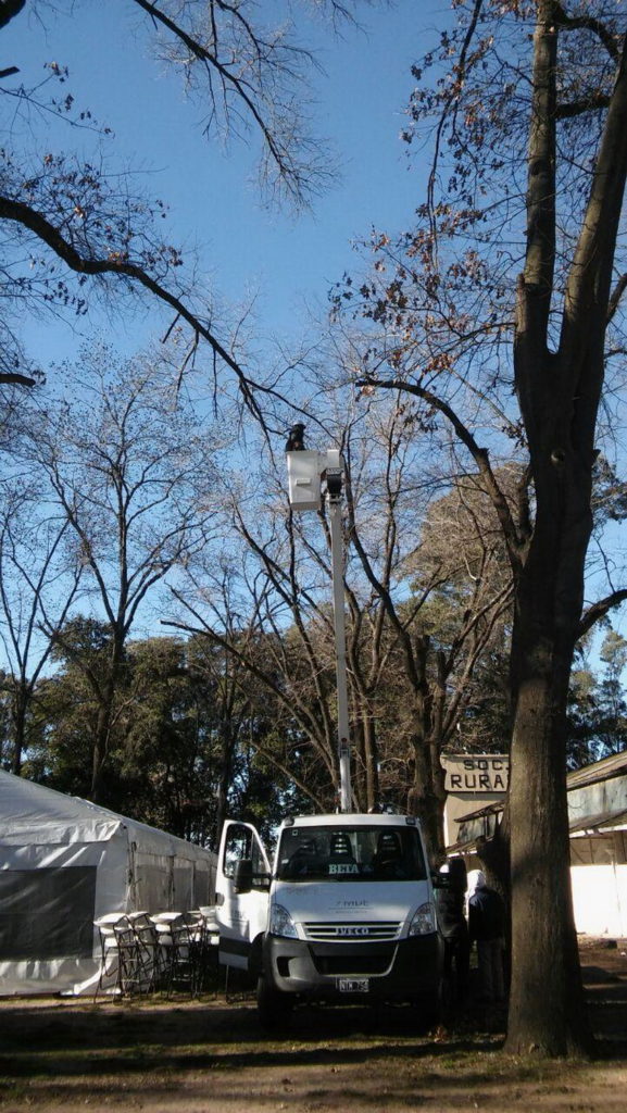 Parte de actividades 16/08 