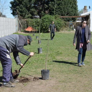 “Venado Planta”, más árboles en la ciudad