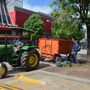 Despeje de ramas tras la tormenta