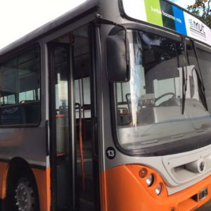 Habrá transporte público gratis para ir a votar