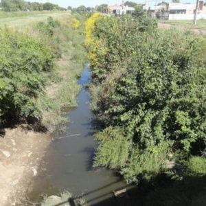 El Municipio retoma gestiones por el Canal Cayetano Silva