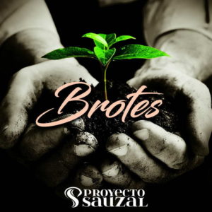 Proyecto Sauzal presenta “Brotes” en el Verdi Proyecto Sauzal presenta “Brotes” en el Verdi