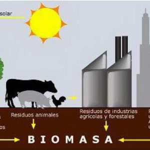 Venado solicita apoyo a la provincia para importante inversión en biomasa