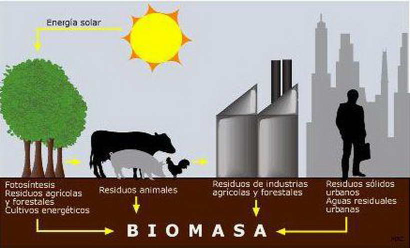 Venado solicita apoyo a la provincia para importante inversión en biomasa