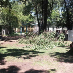 Parte de actividades 28/12