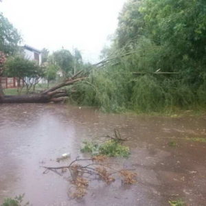 El municipio dio respuesta inmediata ante la tormenta del viernes