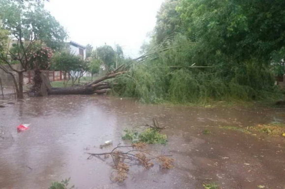 El municipio dio respuesta inmediata ante la tormenta del viernes