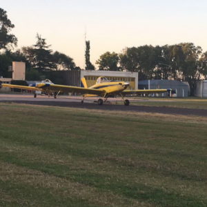 Nueva fumigación aérea contra moscas y mosquitos