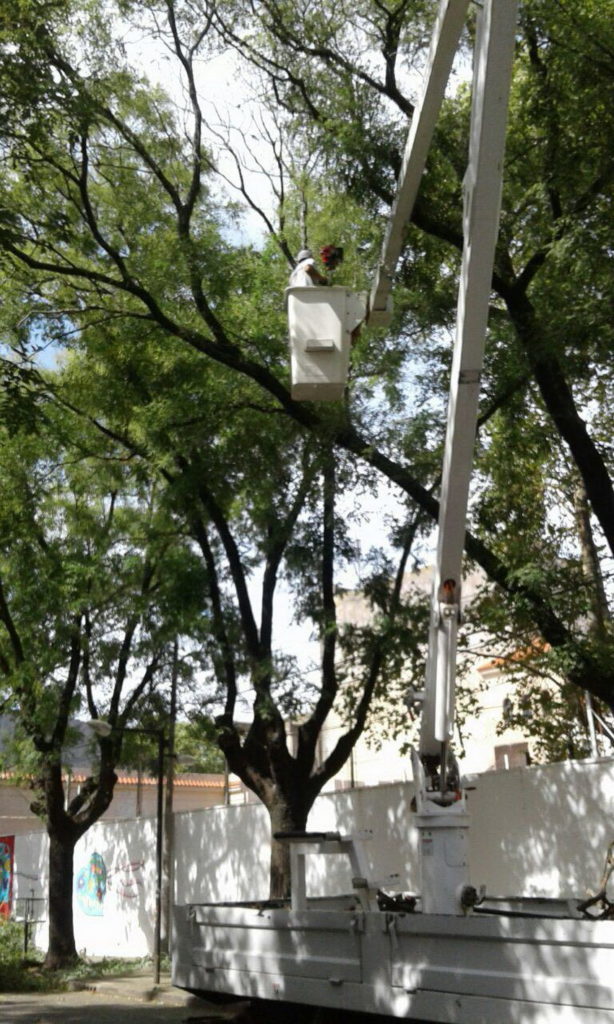 Poda de prevención frente a entidades educativas
