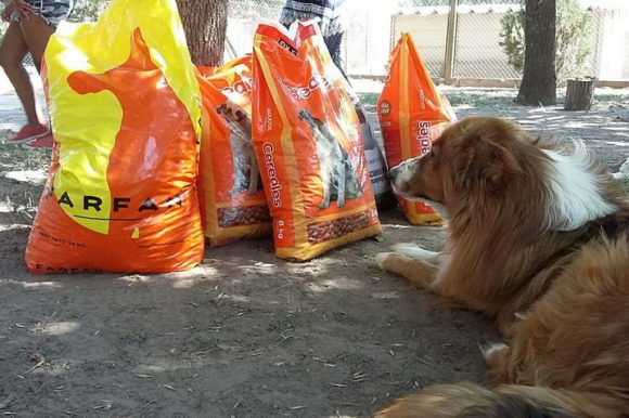 Club Rivadavia entregó alimento para mascotas