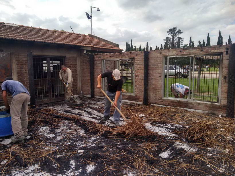 Tareas de limpieza en el club Jorge Newbery