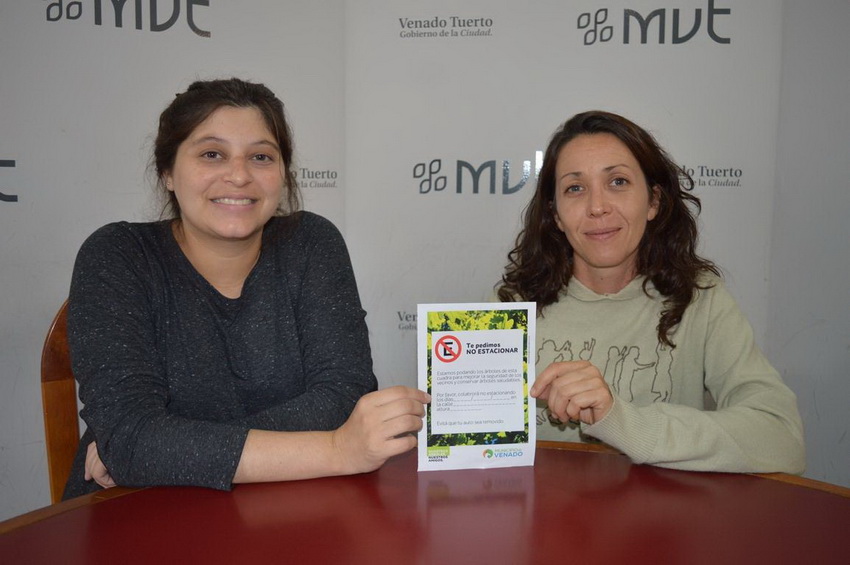 El Municipio completaría en julio el plan de poda