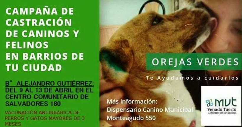 “Orejas Verdes” en barrio Gutiérrez