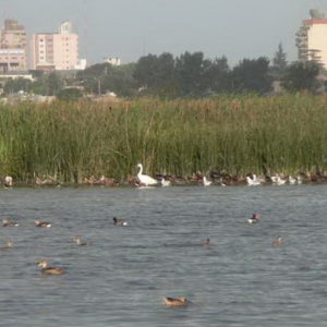 Convenio con la provincia para obra de regulación de laguna Las Aguadas