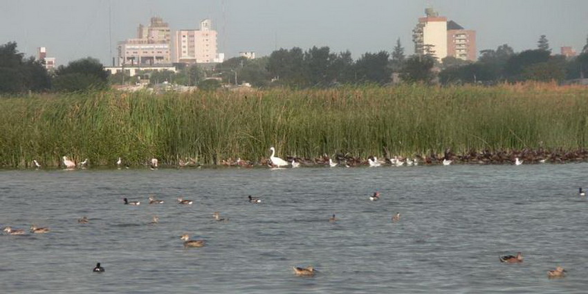 Convenio con la provincia para obra de regulación de laguna Las Aguadas