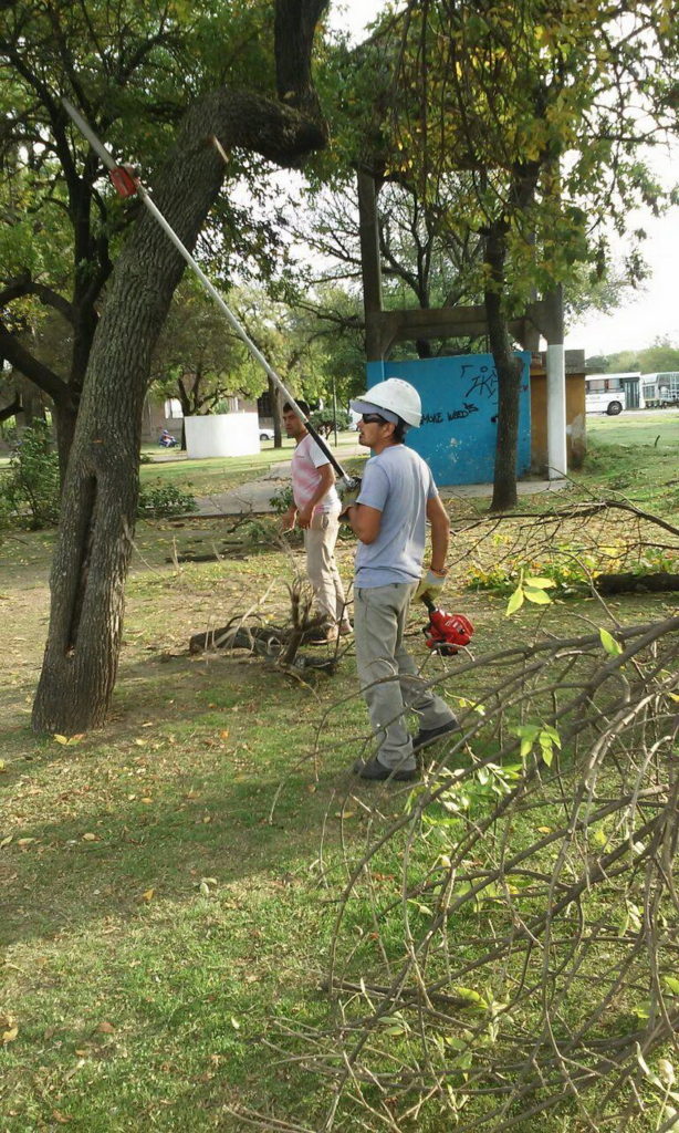 Continúan los trabajos de poda