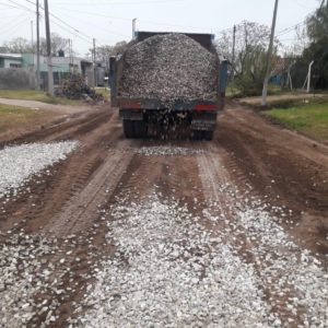 Parte diario de actividades 11/06
