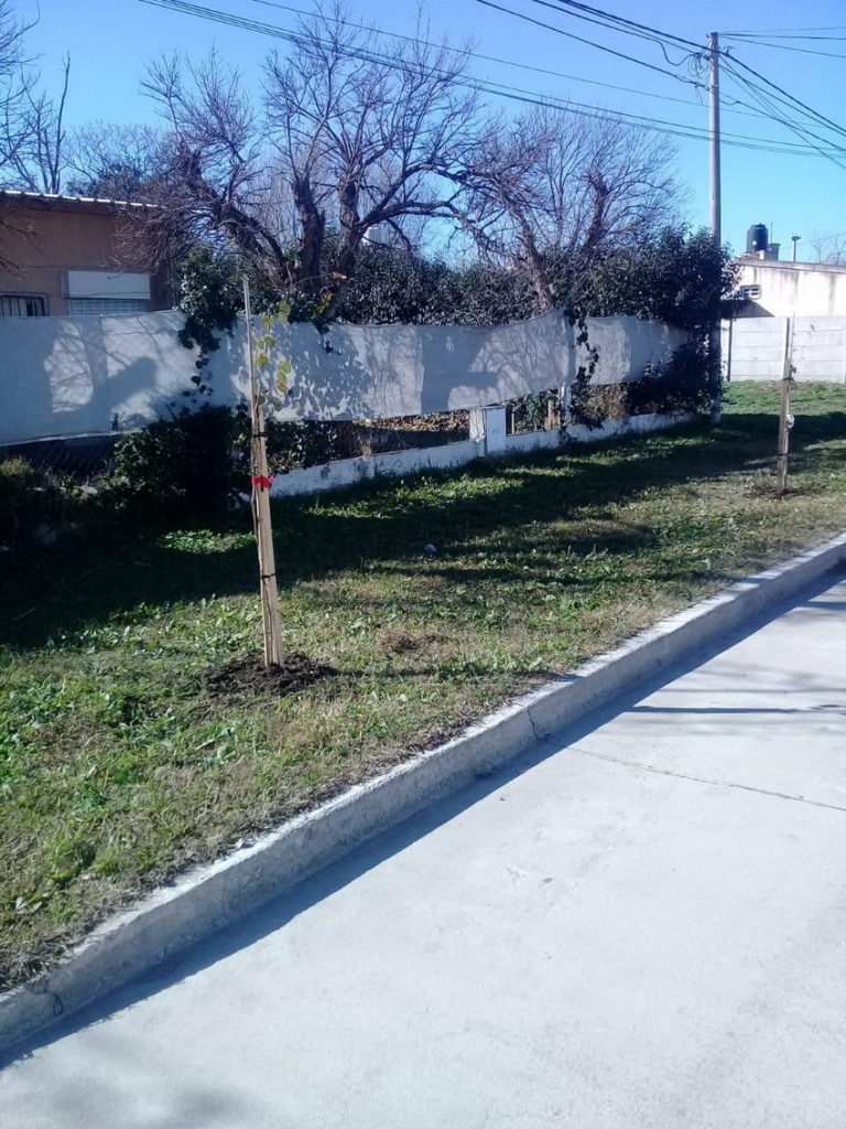Plantación en barrio Polo, un proyecto conjunto de vecinos y el Municipio