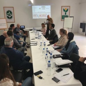 El Paseo de la Semilla prepara su diseño visual y las propuestas lúdicas El Paseo de la Semilla prepara su diseño visual y las propuestas lúdicas