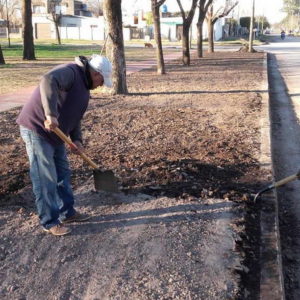Avanzan los trabajos en plaza San Vicente