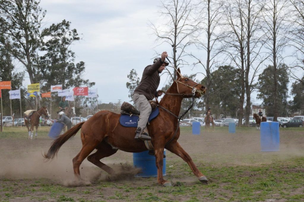 Juego de riendas y sortija