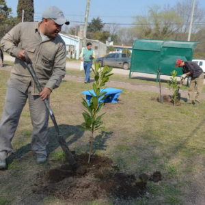 Plantaron variedad de especies arbóreas en nueva plaza de barrio El Cruce Plantaron variedad de especies arbóreas en nueva plaza de barrio El Cruce