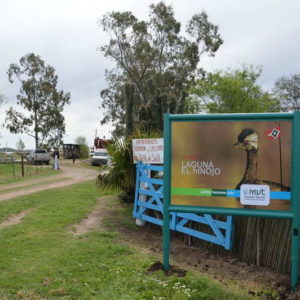 Vuelve la barrileteada en El Hinojo
