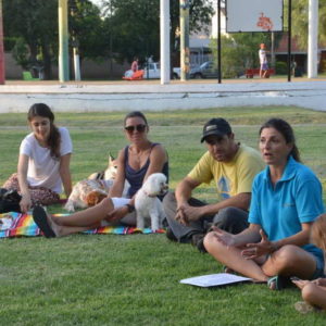 Instan a colaborar para una tenencia responsable de animales