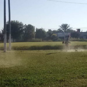 Parte de actividades 07/03