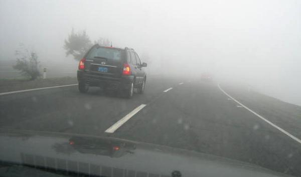Presencia de bancos de niebla