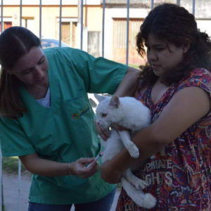 Vacunaron contra la rabia a más de 690 mascotas