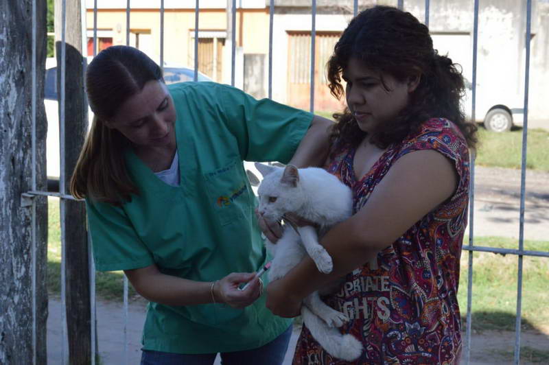 Vacunaron contra la rabia a más de 690 mascotas