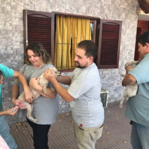 Vacunación antirrábica en el barrio Gutiérrez