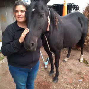 Equino hallado en la vía pública