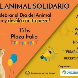 Festival animal solidario en plaza Italia Festival animal solidario en plaza Italia