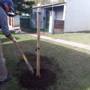 Parte de actividades 06/06