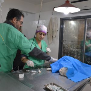 Cambio de horario del Dispensario 