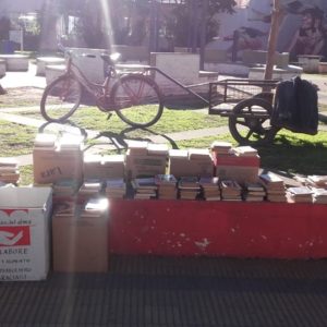 Cruzada solidaria “Un libro por un alimento”