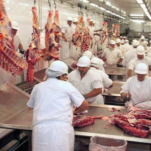 Apuran inversiones del frigorífico para mitigar malos olores Apuran inversiones del frigorífico para mitigar malos olores