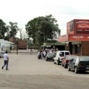 El municipio propicia acciones que preserven el ambiente El municipio propicia acciones que preserven el ambiente